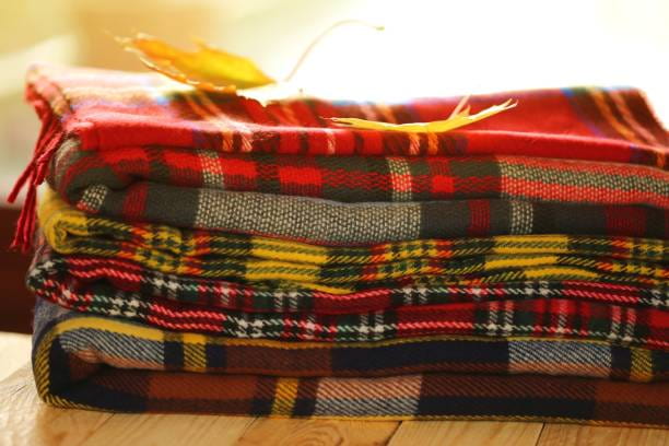 تصویر 3 از قیمت پتو مسافرتی چهار خانه با کیفیت ارزان + خرید عمده